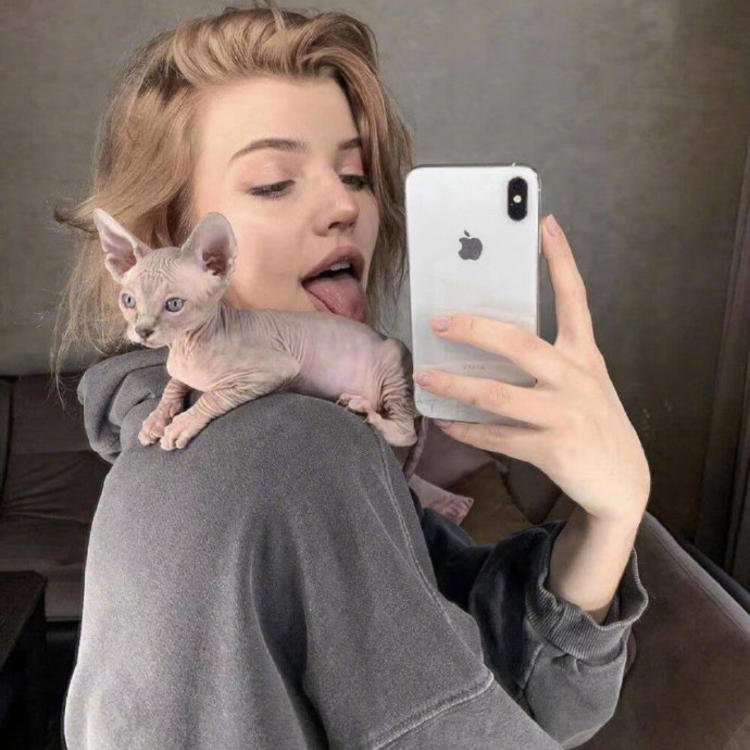 6686体育铁牌作者Evan