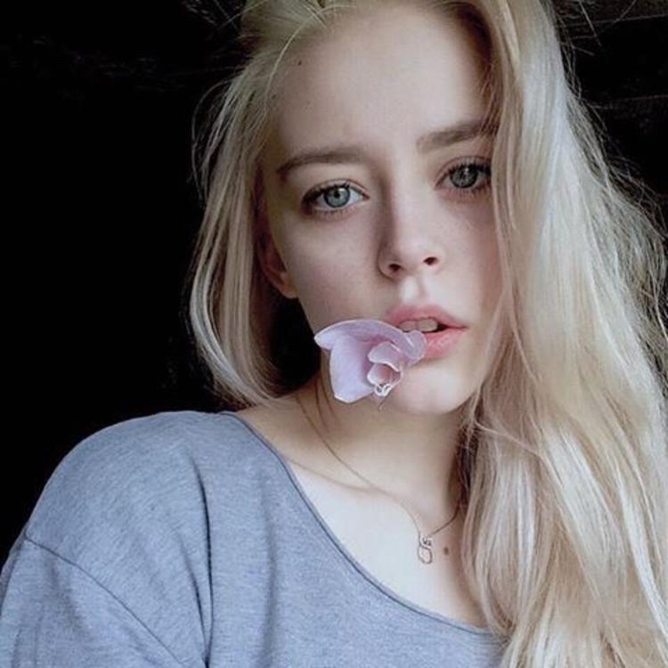 6686体育中级作者残朵