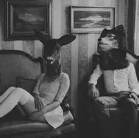 เพอร์ซี่